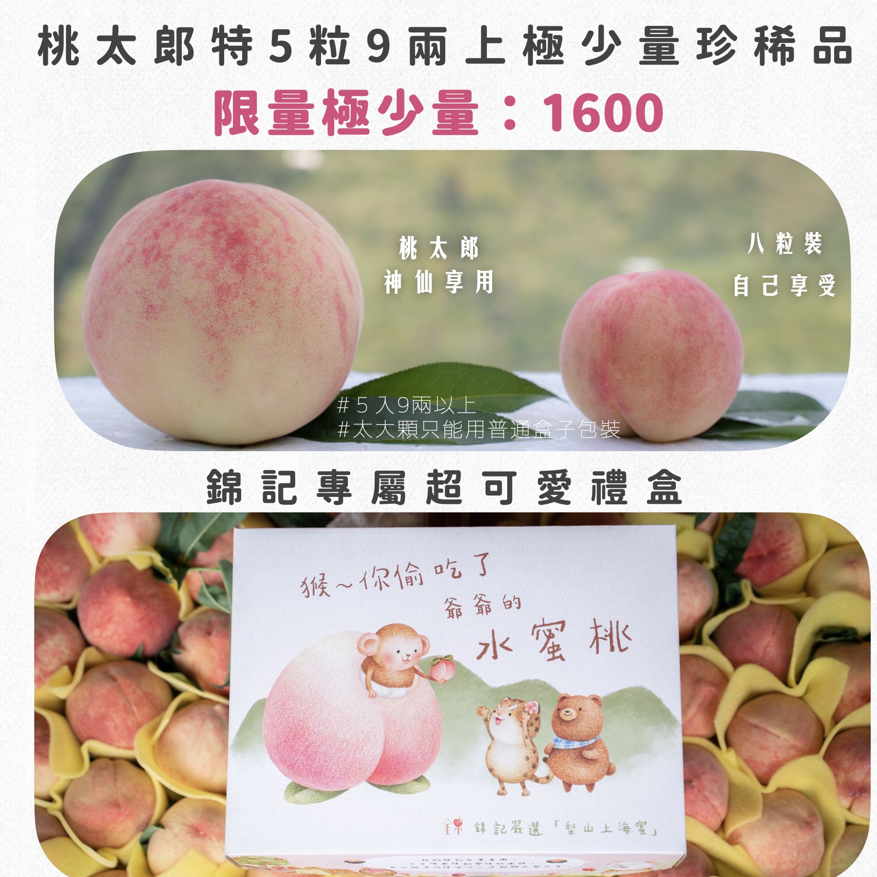 上海蜜水蜜桃｜錦記友善果園｜開啟仲夏的水蜜桃療癒時刻，顛覆你對台灣