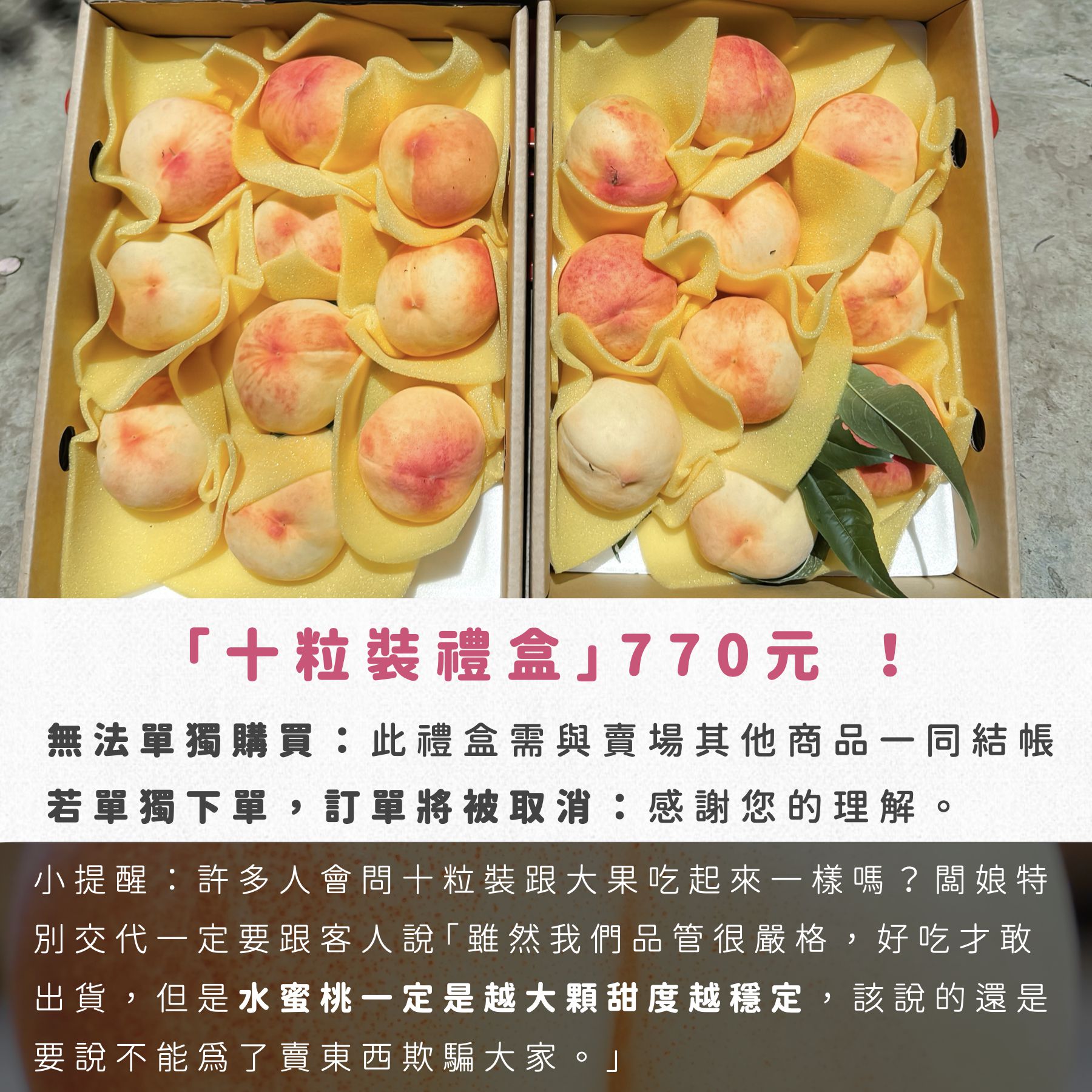 上海蜜水蜜桃｜錦記友善果園｜開啟仲夏的水蜜桃療癒時刻，顛覆你對台灣