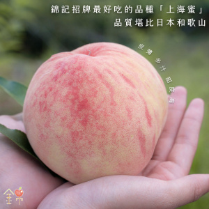 錦記梨山友善果園｜在地果農自產自銷
