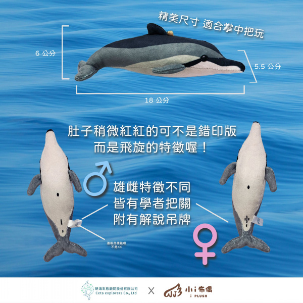 長吻飛旋海豚玩偶吊飾_研海商店